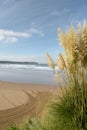 Woolacombe Bay on the Bristol Channel, North Devon Royalty Free Stock Photo