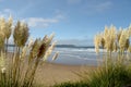 Woolacombe Bay on the Bristol Channel, North Devon Royalty Free Stock Photo