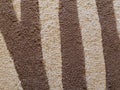 Woolen Carpet Pattern / Background. Royalty Free Stock Photo