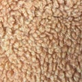 Woolen texture surface macro shot. Minimalistic background. Royalty Free Stock Photo