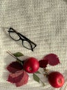 Woolen white background.Red apples, autumn leaves.