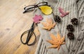 Woolen womenÃ¢â¬â¢s cardigan lying on the rustic wooden table with glasses, scissors, pine cones and maple leaves