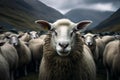 Woolly Flock sheep staring. Generate Ai