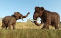Woolly Mammoth and Baby in a Grassy Field
