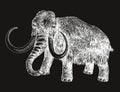Woolly mammoth extinct animal sketch