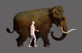Woolly Mammoth And Human Size Comparison Royalty Free Stock Photo