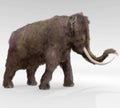 Woolly Mammoth Royalty Free Stock Photo