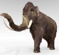 Woolly Mammoth Royalty Free Stock Photo