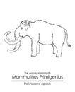 The woolly mammoth Royalty Free Stock Photo