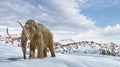 Woolly mammoth scene in environment with snow. realistic 3d illustration