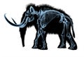 Woolly mammoth skeleton, x-ray effect