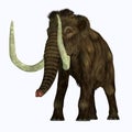 Woolly Mammoth Tusker