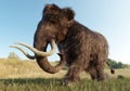 Woolly Mammoth Walking in a Grassy Field