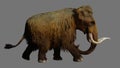 Woolly Mammoth Walking On Gray Background Animation