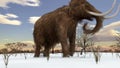 Woolly Mammoth Walking In Snowy Field Animation
