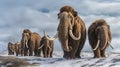 Woolly mammoths. elephant mammoth. Generative ai