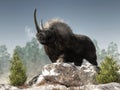 Woolly Rhino