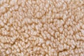 Woolly sheep fleece background Royalty Free Stock Photo