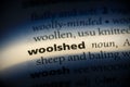 Woolshed Royalty Free Stock Photo