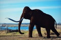 Wooly Mammoth Royalty Free Stock Photo