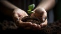 wooman hands holding a plant in her hands ai generated