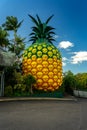 Woombye, Queensland, Australia - The Big Pineapple tourist attraction