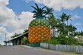 16m-high Big Pineapple in Woombye, Australia