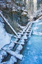 Woonden ladder in Sucha Bela gorge in Slovak Paradise during winter