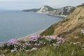 Worbarrow & Mupe Bay