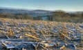 Worcestershire farmland in winter Royalty Free Stock Photo