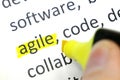 Word agile undelnines among other words printed on white paper. projects methodology and development team workflow concept Royalty Free Stock Photo