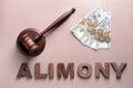 Word ALIMONY with judge gavel and money on color background