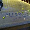 Word Allergy written on a car hood