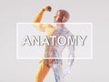 Word anatomy over 3d human body model