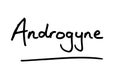 Androgyne