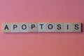 Word apoptosis from small gray wooden letters