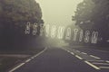 Word astigmatism written on danger road on a foggy day. Road through the autumn forest. Vision problem. Royalty Free Stock Photo
