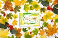 Word autumn in an album with autumn leaves Royalty Free Stock Photo