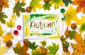 Word autumn in an album with autumn leaves and pear Royalty Free Stock Photo