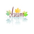 Word Autumn, because of from hands. Autumn maple leaves and reflection in the puddle Royalty Free Stock Photo