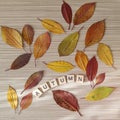 Word `autumn` made out from wooden letters with autumn leaves