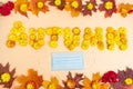 Word Autumn made of yellow heads of chrysanthemums flowers with protective face mask. Fall season and virus protection concept.