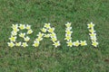 Word Bali written with tropical frangipani flowers