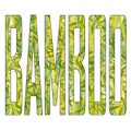 The word `BAMBOO` isolated on a white background. Textured letters. The texture is yellow-green in color with leaves.