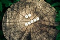 Word be happy of alphabet beads on a tree stump surface in the forest.