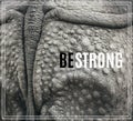 Word Be Strong. Closeup of the strong armor of a rhinoceros. Royalty Free Stock Photo