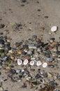 Word Beach Written On Pebbles