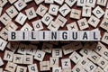 The word of Bilingual on building blocks concept Royalty Free Stock Photo