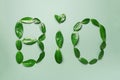 Word Bio made of leaves on green background. Top view. Flat lay. Ecology, eco friendly planet and sustainable environment concept Royalty Free Stock Photo