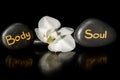 Word body and soul and white orchid Royalty Free Stock Photo